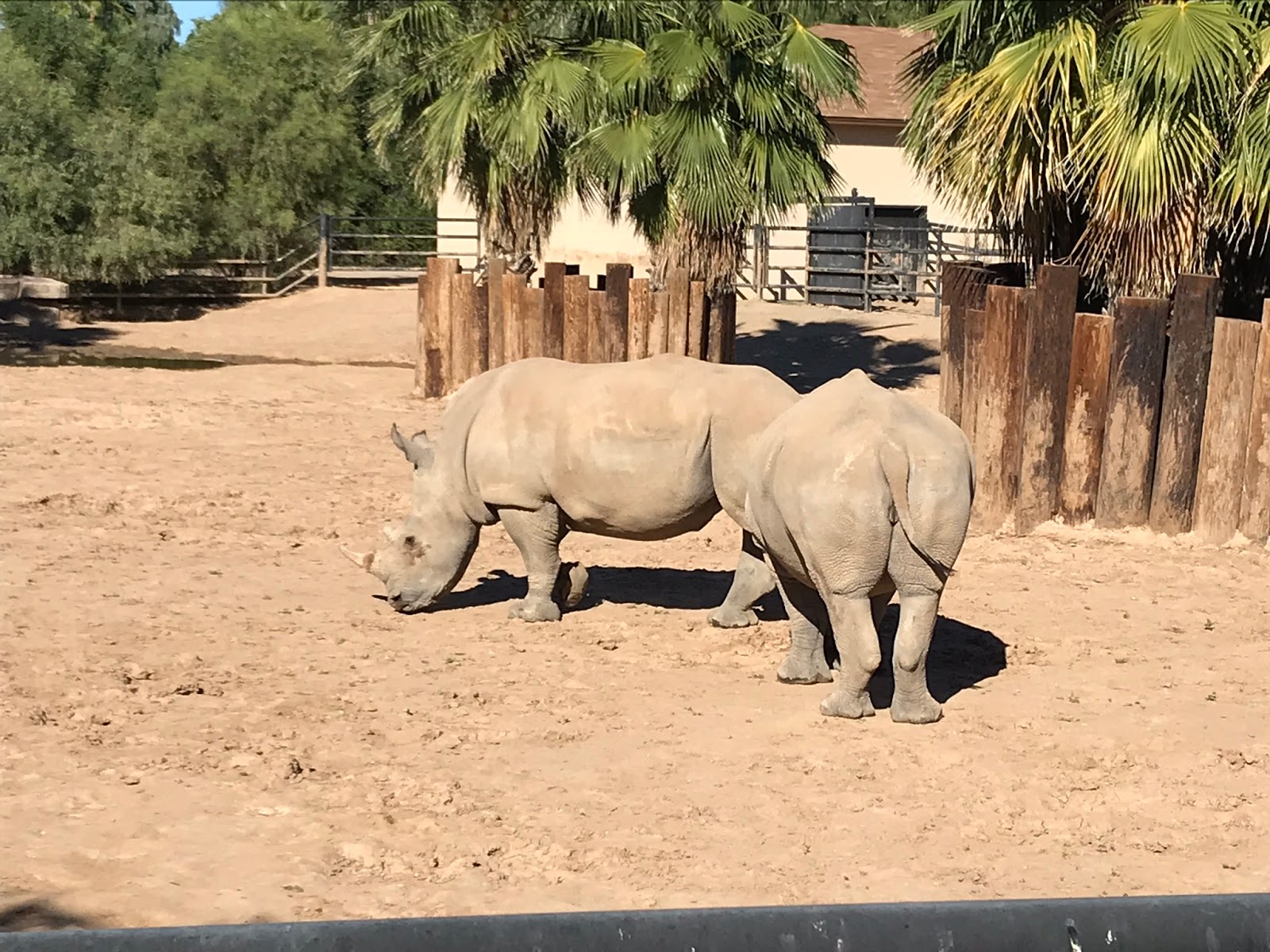 Living a Fit and Full Life Wildlife World Zoo & Aquarium is a Must