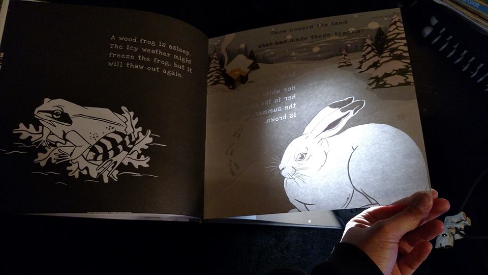 Usborne Shine A Light Books Unique The Lion Is A Bookworm NEW Kids Picture Books Day 60 Giveaway Is Usborne Shine A Light Books Unique The Lion Is A Bookworm NEW Kids Picture Books Day 60 Giveaway Is