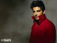 bollywood actor, zayes khan, hd wallpaper, for desktop, red dress