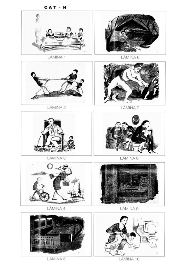 Instrucciones para evaluar CATA y CATH