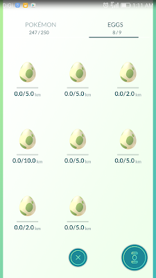 Pokemon Go egg hatching