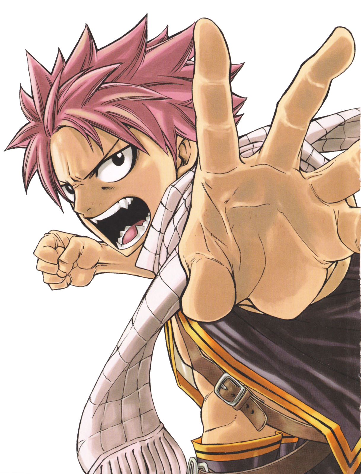 Fairy Tail:  Beyond Fairy Tail - c96lgtu