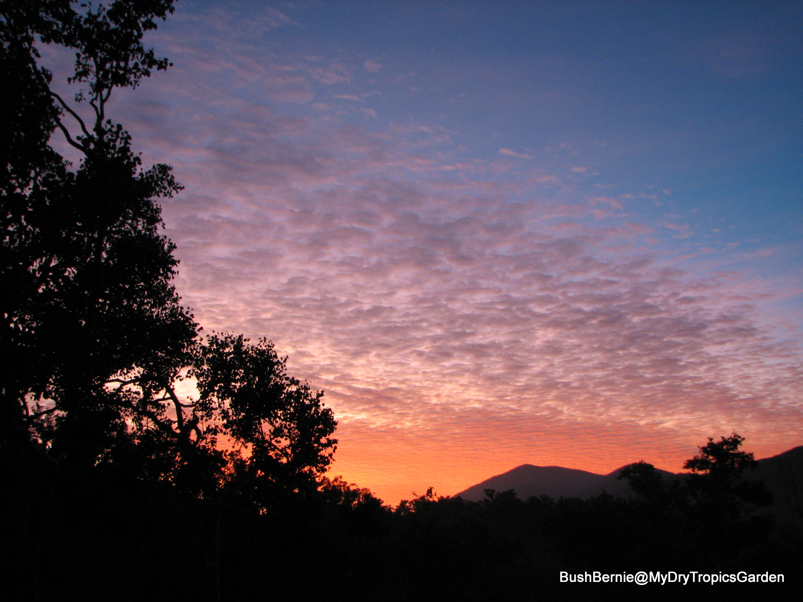 Bush Bernie's Blog: Early Winter Morning Sunrise ... The Year In ...