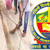 South Delhi Municipal Corporation (SDMC) Recruitment 2016 - 86 Jr. Engineer Posts