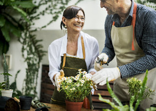 Health benefits of gardening
