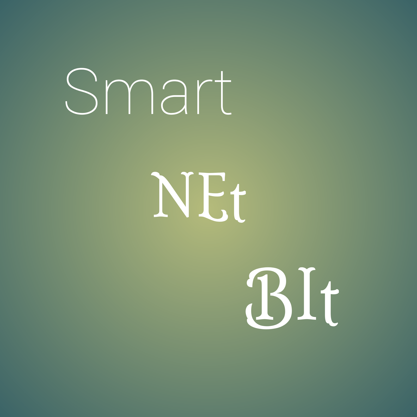Smart Net Bit