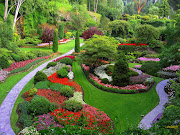 “Spring clean your Body with our Detoxification Package” spring tulip 