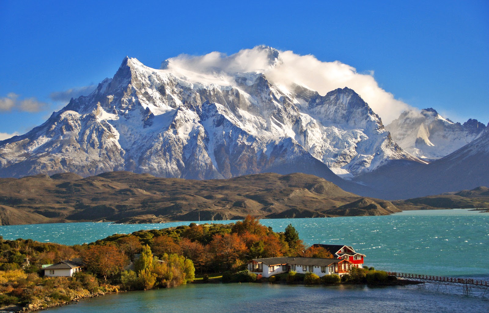 Banco de Imágenes Gratis: Nuevos paisajes con flores para decorar y