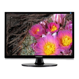May 2011 pink cushion cactus blossoms desktop wallpaper calendar on monitor
