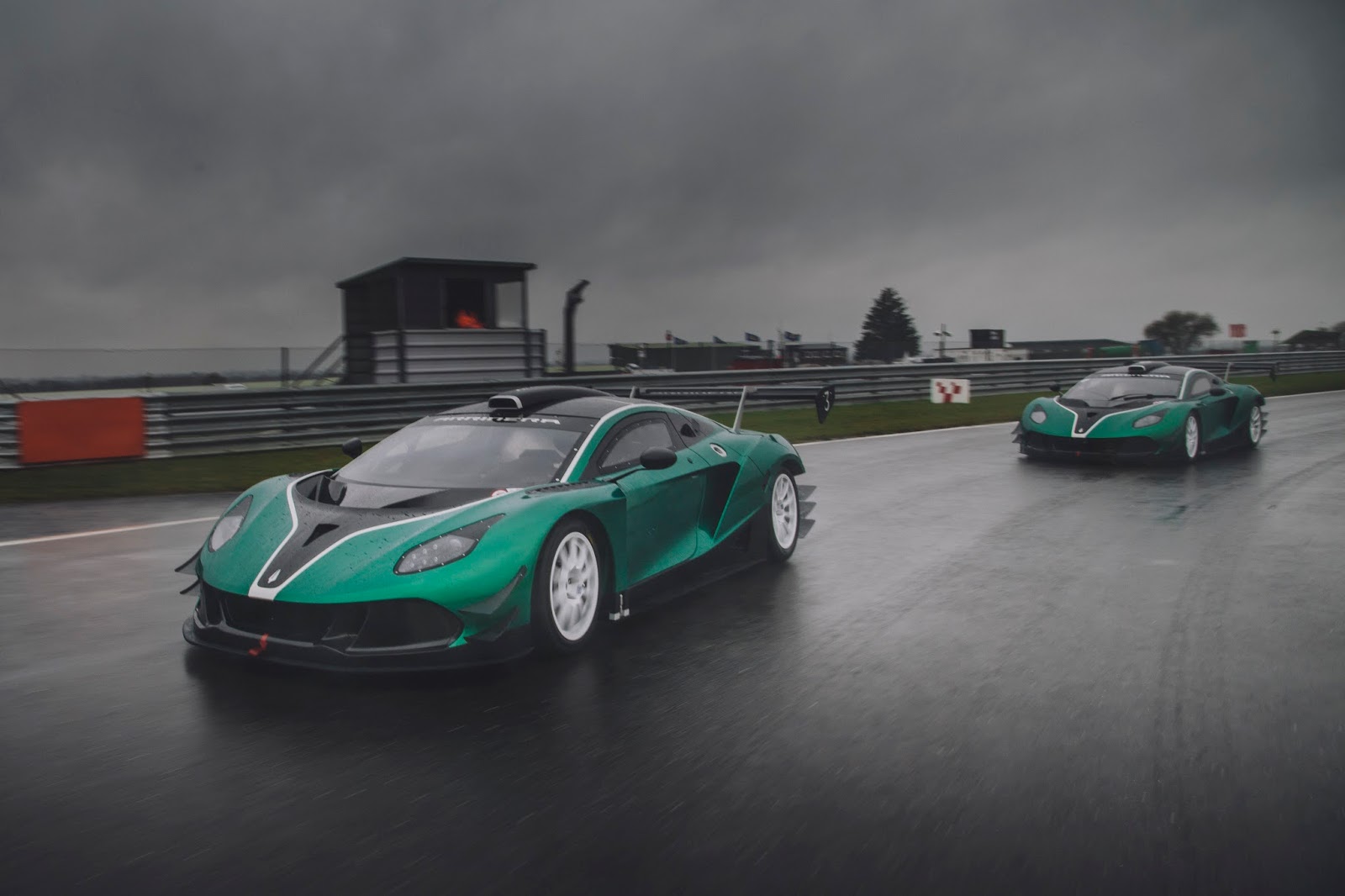 Arrinera Hussarya gt