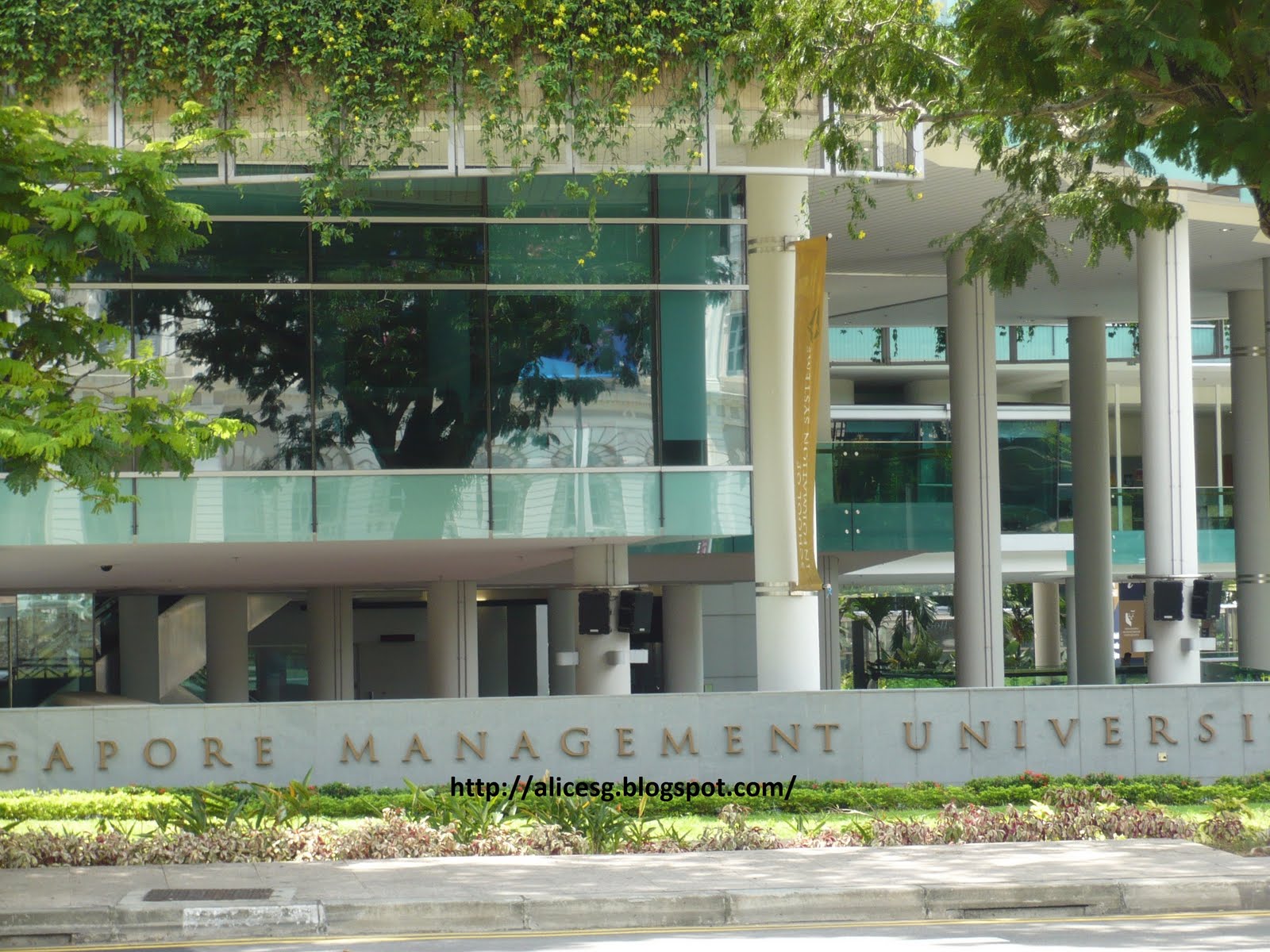 AlicesgSingaporemyhome Skywatch Friday Singapore Management