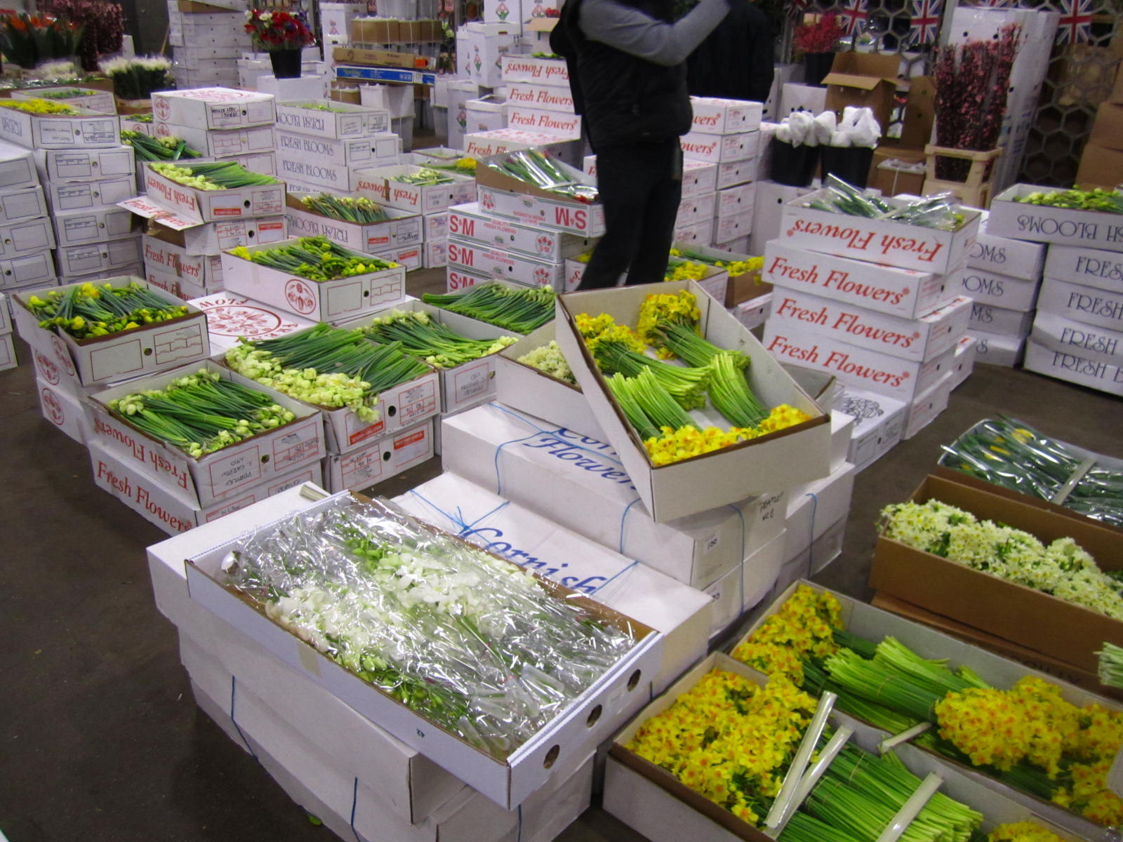 Fru Form Vauxhall flower market