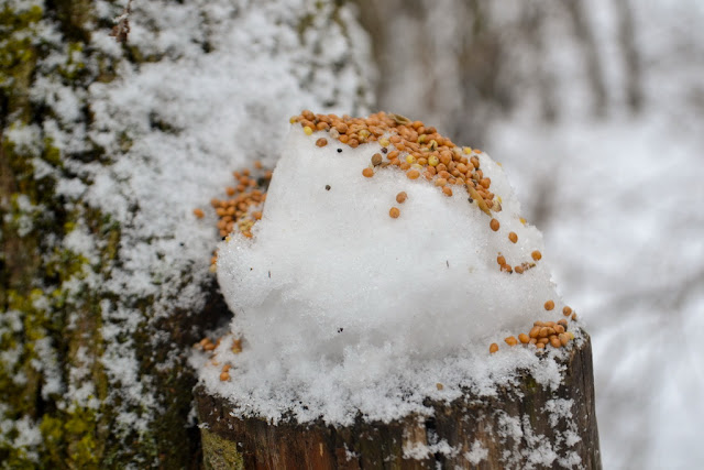 ПРОГУЛКА ДОБРЫЕ ДЕЛА