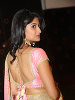 Roshini at Saptagiri Express Audio function-cover-photo