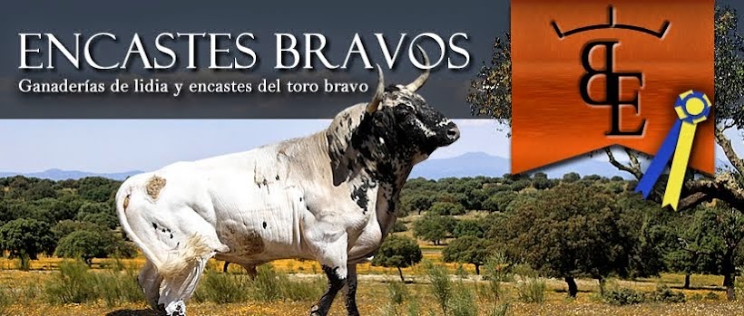 Encastes Bravos
