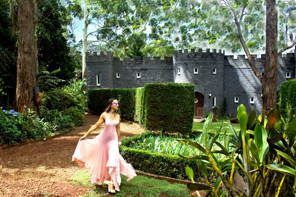 The Castle on Tamborine Mountain My Fairy Tale Story