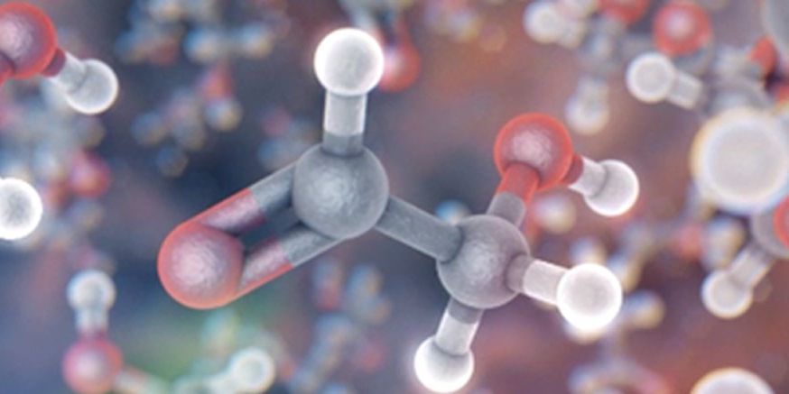 Addio Diete estreme: La fame può essere spenta con alcuni tipi di alimenti