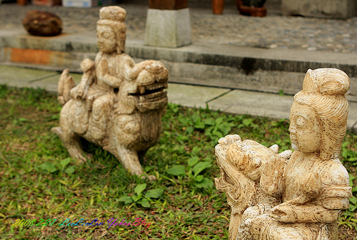 吉安慶修院|花蓮吉安日本神社|花蓮景點好拍好玩