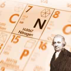 AGROPECUARIA: EL NITRÓGENO