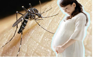 chống muỗi cho bà bầu