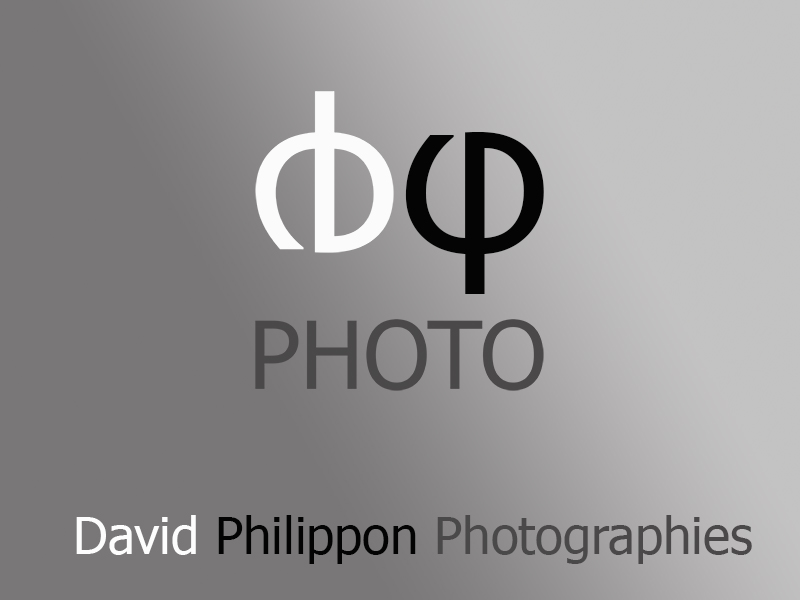 DPhiPhoto/David Philippon Photographies