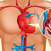 Tu cuerpo avisa 1 mes antes de un infarto – pistas ocultas que todos deberíamos conocer