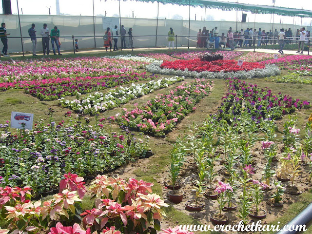 Ahmedabad flower show