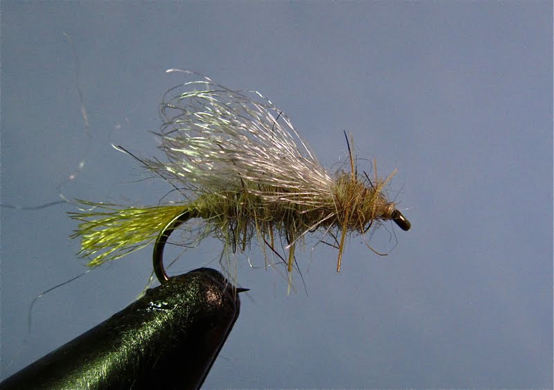 Central Alberta Fly Tying Club December 19th, 2011 Cool Caddis Patterns