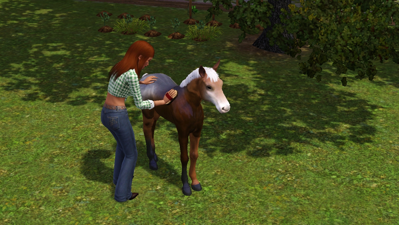 A Slice of Ash Pie Sims 3 Pets Horses