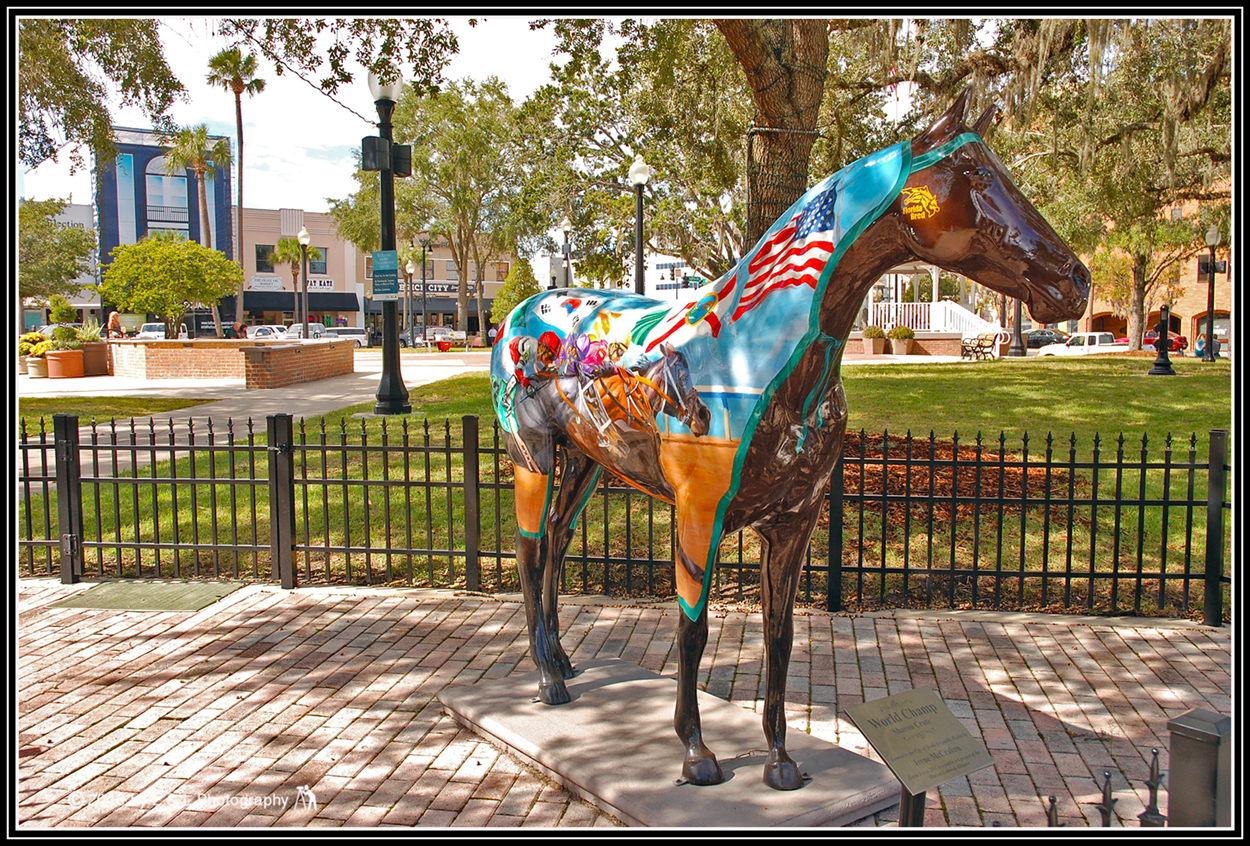 Ocala, Central Florida & Beyond: New Sign and Horse for Ocala's