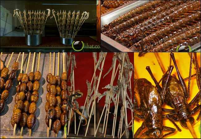 5 Makanan Teraneh dan Terunik di Pasar Malam Beijing