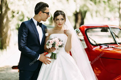 depositphotos 130222926 stock photo bride in the bridal veil