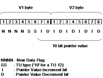 V1 and V2 bytes details in SDH