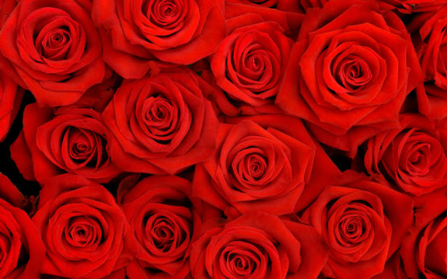 Rose Valentines Day Ideas for Boyfriend