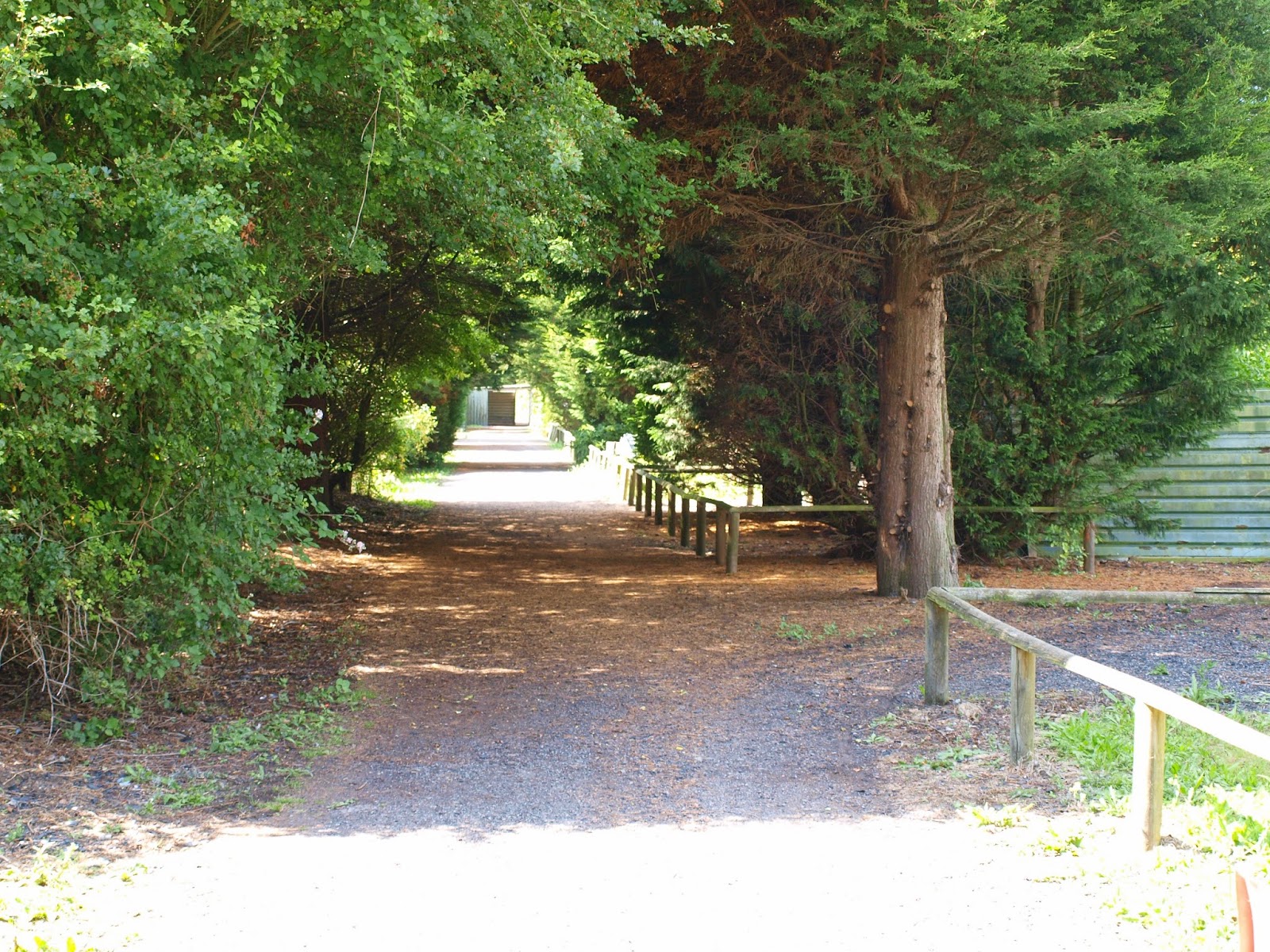 CLAY PIGEON SHOOTING ASSOCIATION Richard's Diary......Willow Farm