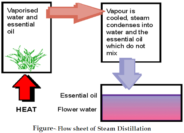 Flow diagram of steam distilatillation