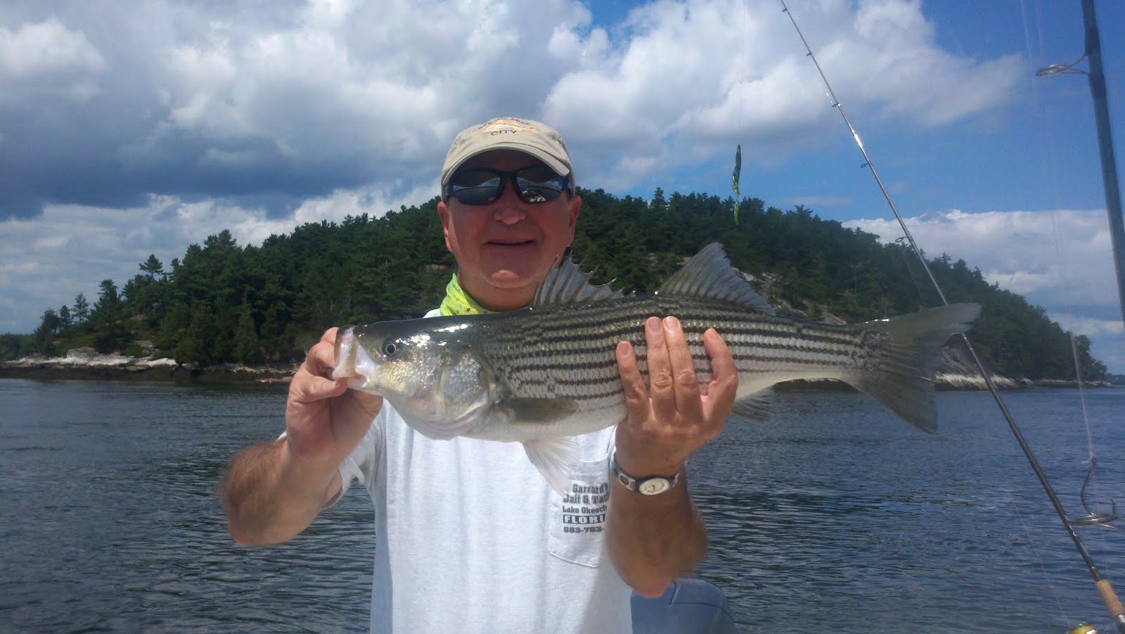Maine Striper Fishing Charters & Reports Hotline 2076910745 Maine