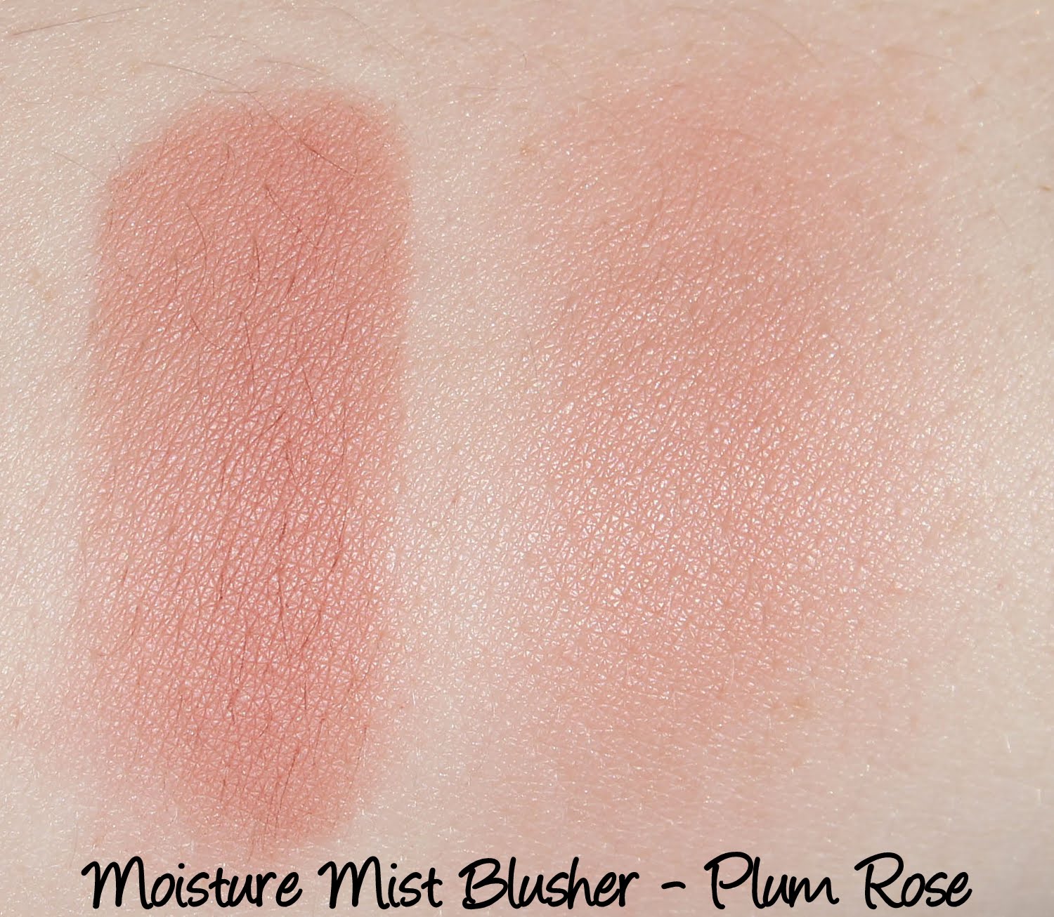 Moisture Mist Blusher B03 Plum Rose Swatches & Review