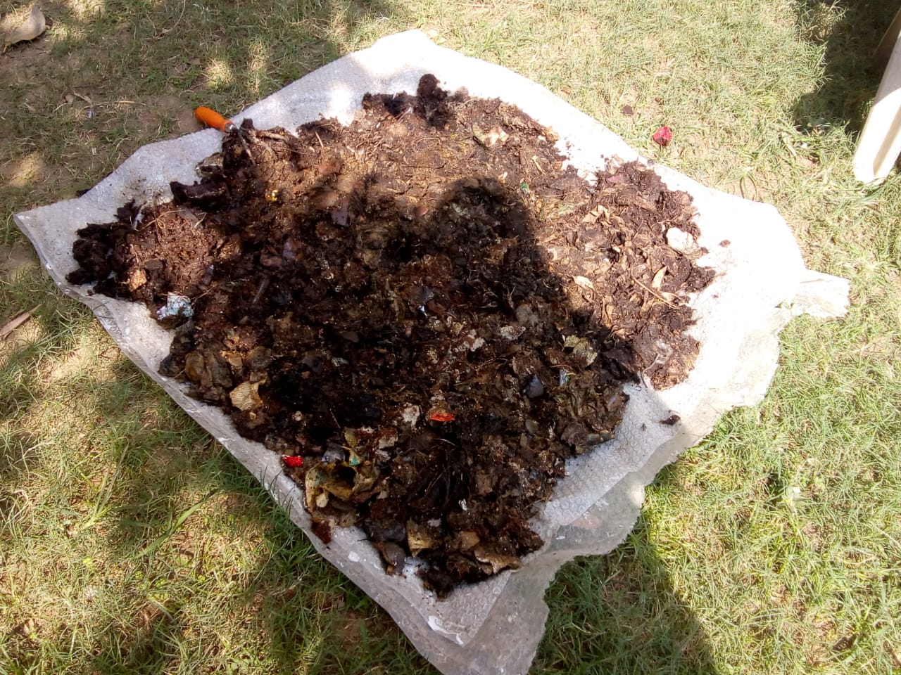 Urban India thoughts on. Making compost in 50 days from Day 1 of