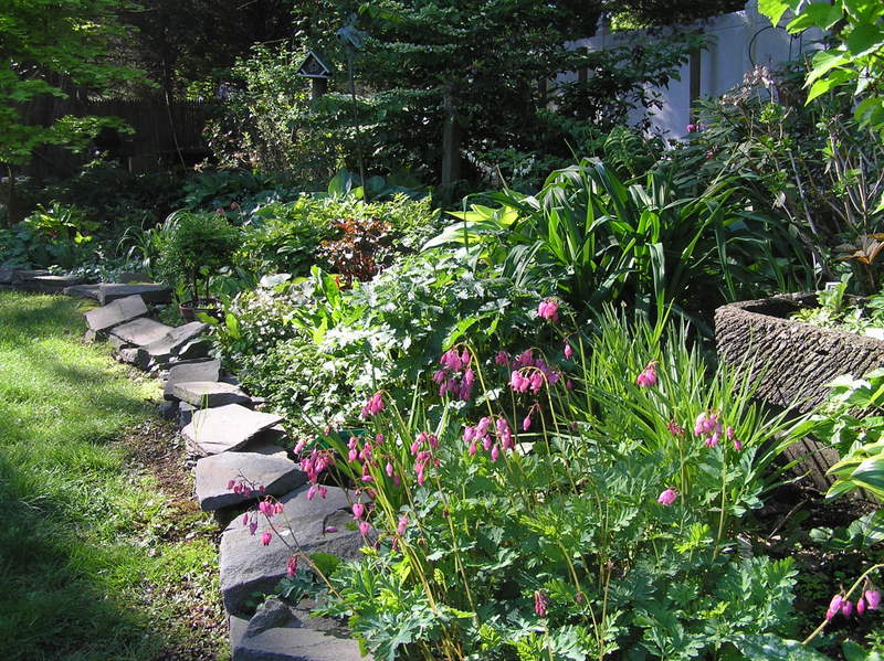 Old Country Gardens Raised beds & Edging materials