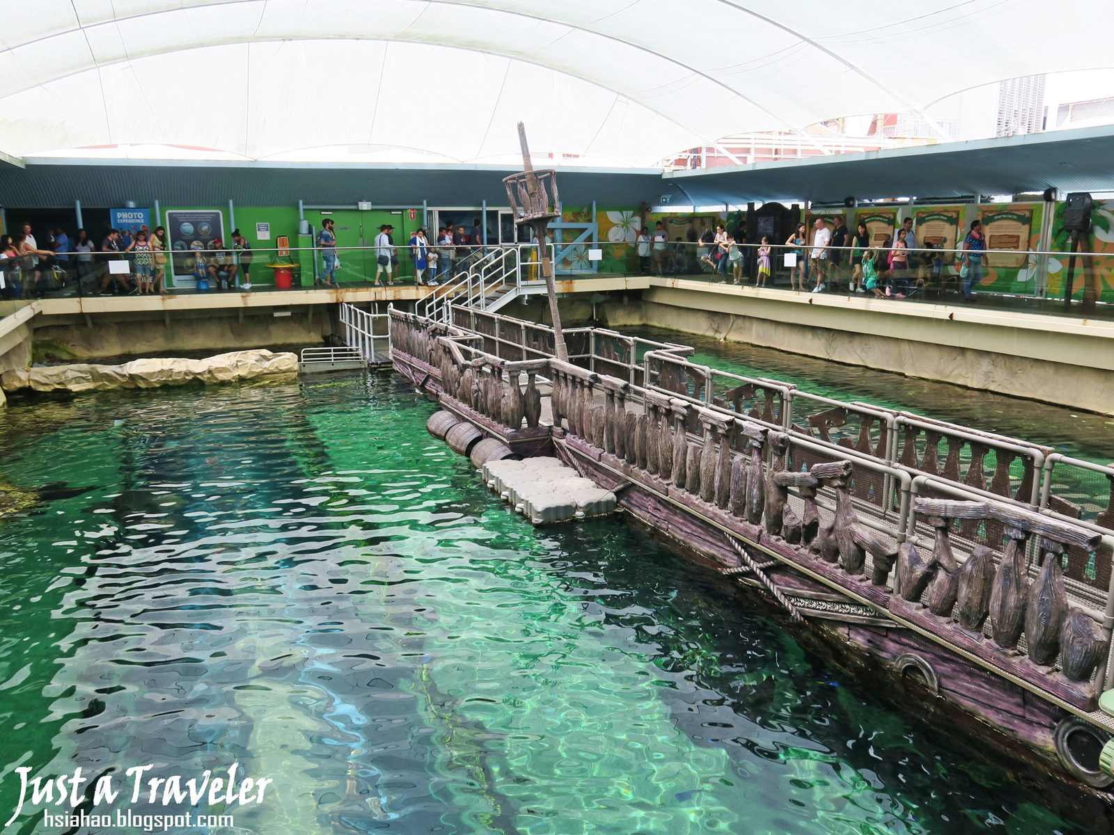 雪梨-景點-推薦-達令港-自由行-行程-旅遊-澳洲-雪梨海洋生物水族館-SEA LIFE Sydney Aquarium-Darling-Harbour-Tourist-Attraction-Travel