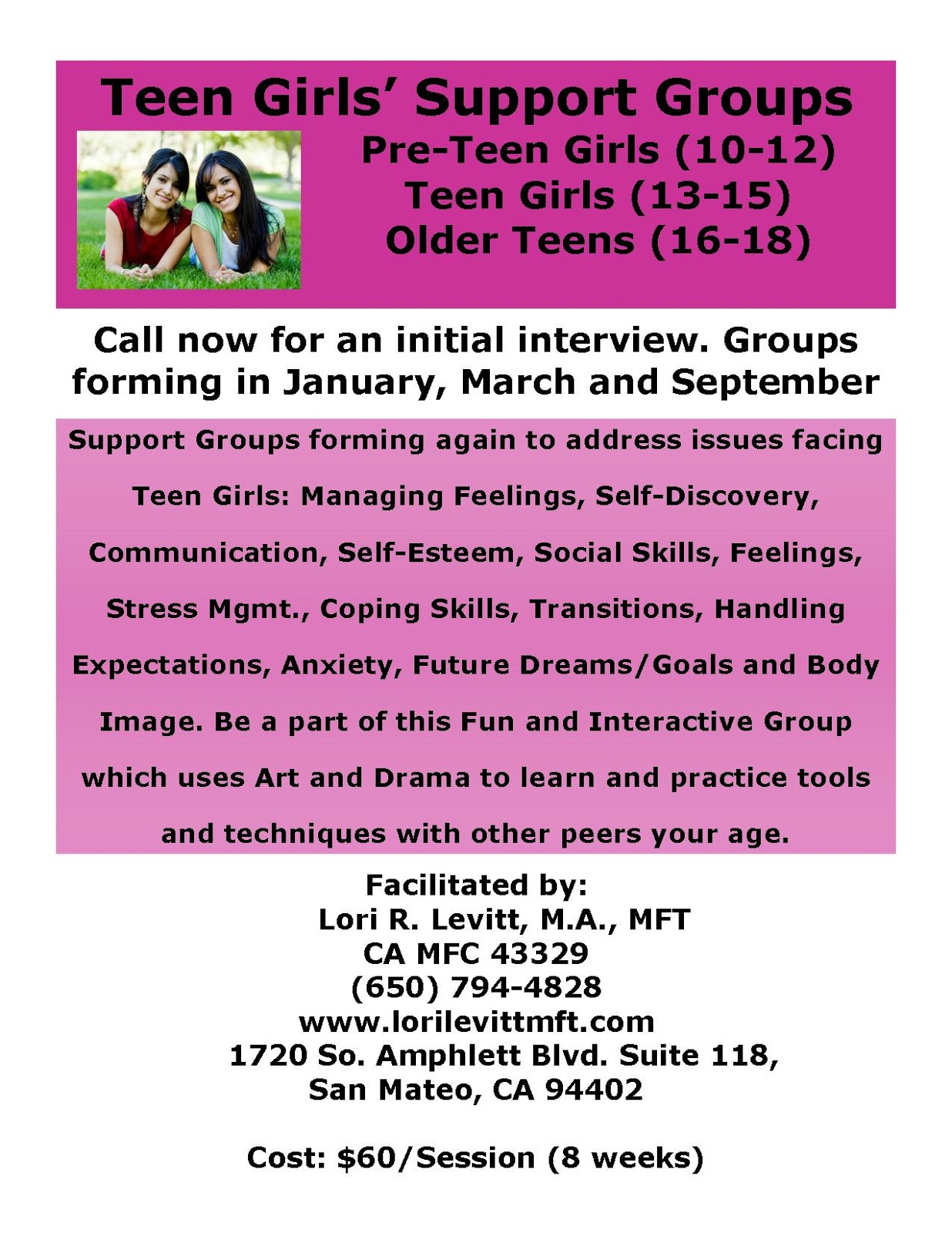 lori r levitt mft group photos coping skills group flyer