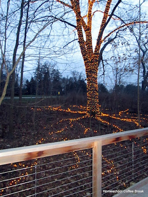 Christmas Lights  - A Longwood Gardens PhotoJournal - Part Two on Homeschool Coffee Break @ kympossibleblog.blogspot.com