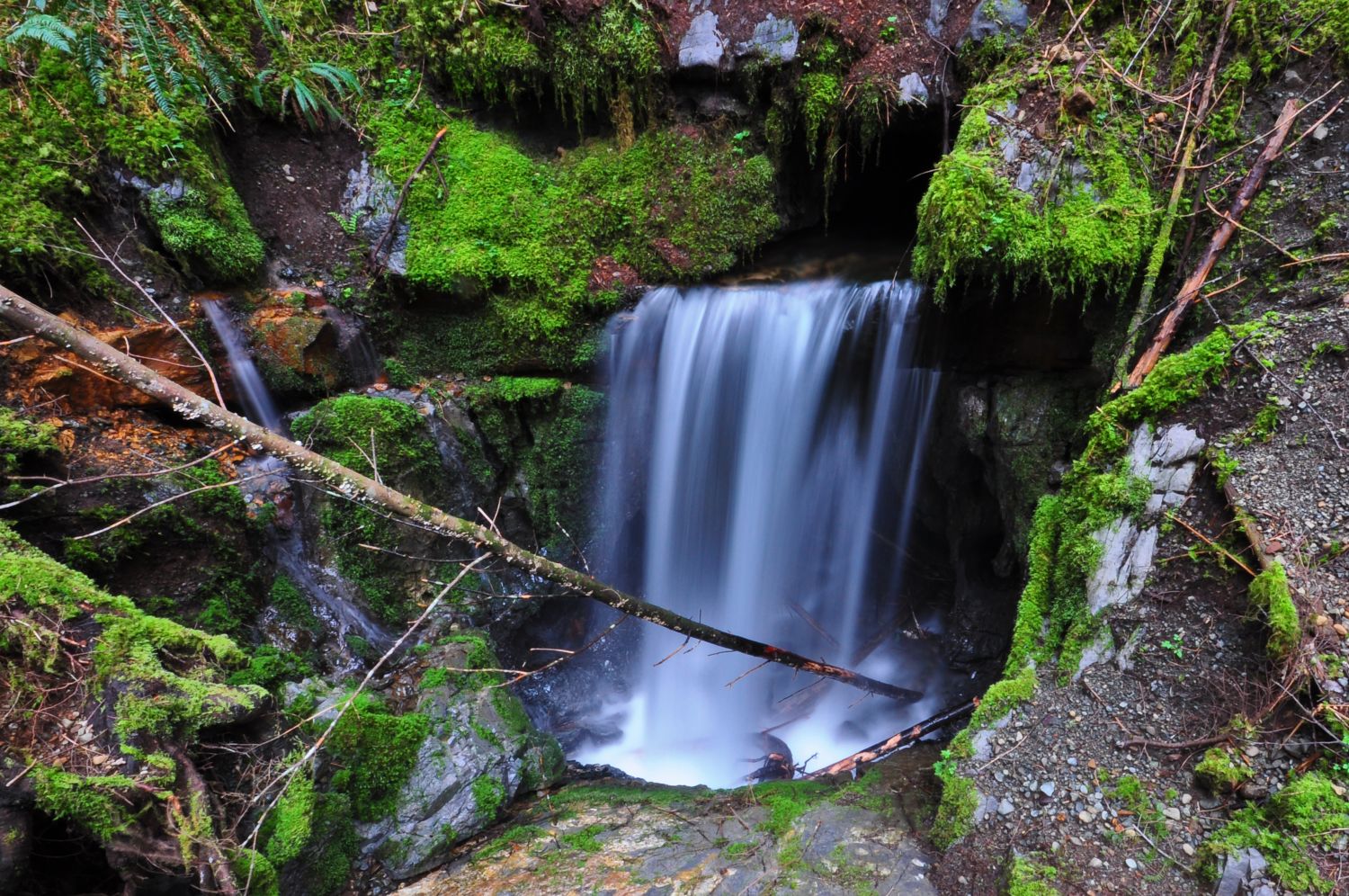 Shutterbugs Capturing the World Around Us Eternal Fountain