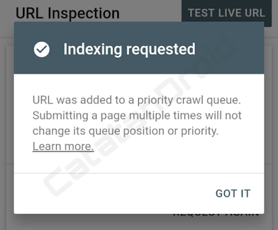 Lebih Mudah Cara Submit Url Request Index di GSC Baru