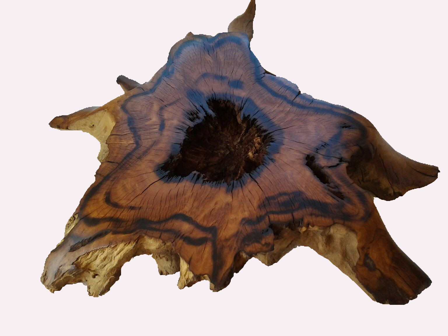 TREE ROOT TABLE BASES Phases Africa African Decor & Furniture