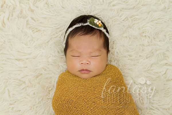 newborn photography in winston salem nc | triad newborn photographers newborn photography in winston salem nc | triad newborn photographers