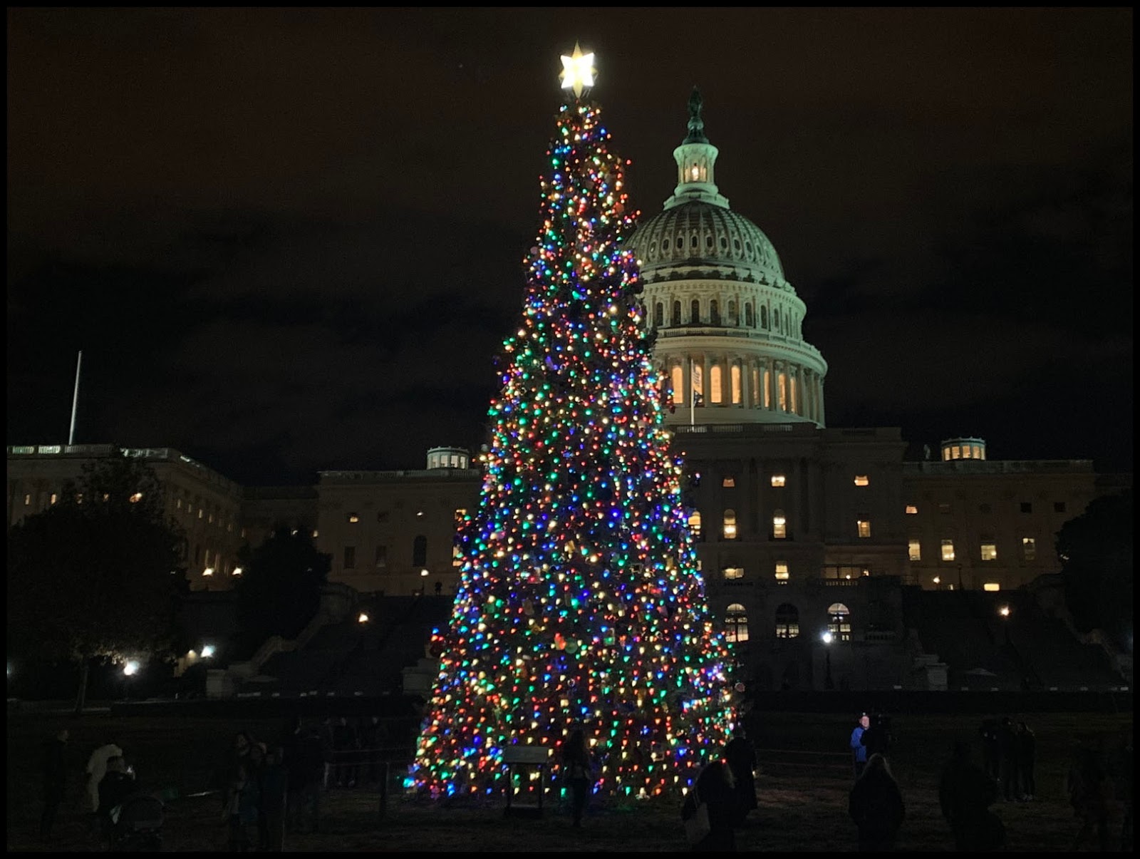 Blog 2019 U.S. Capitol Christmas Tree Lit in Special