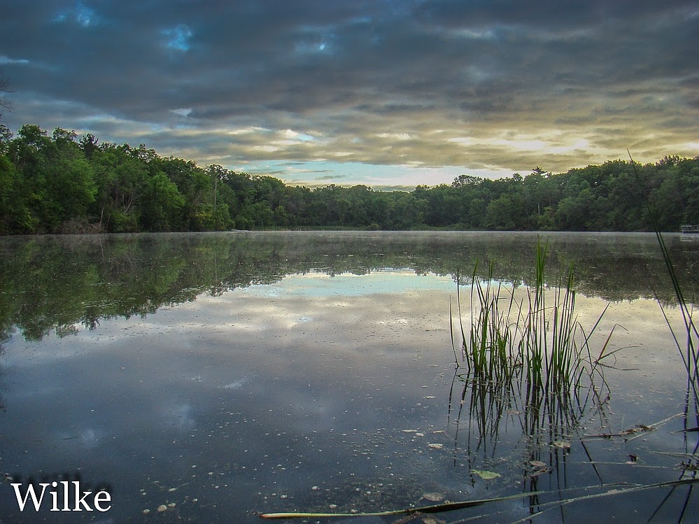 John Wilke Photography Belted Kingfishers at Scout Lake Park