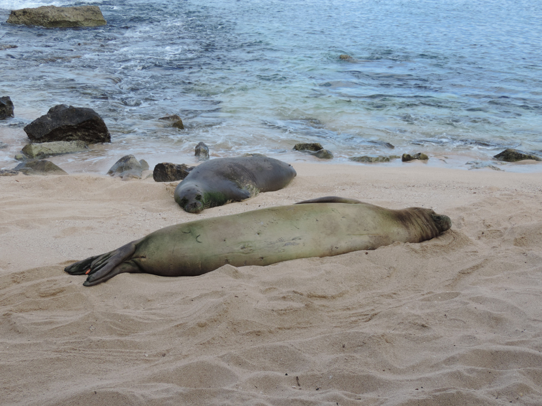 8122013 Team Billand Pohaku & Benny at
